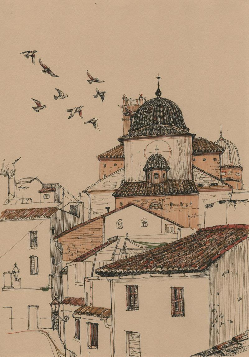Birds over the cathedral